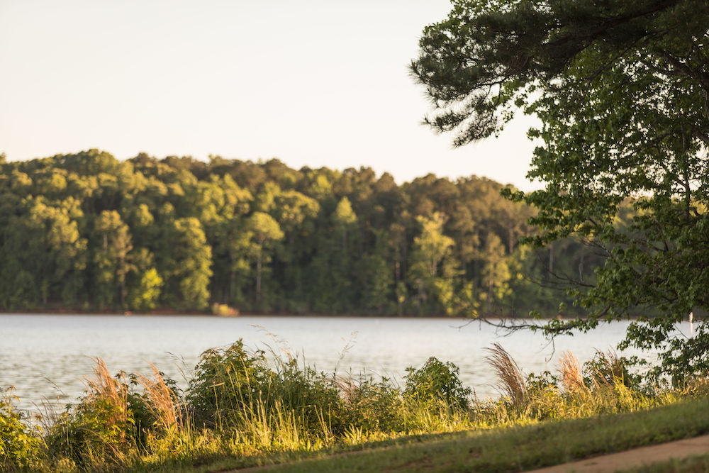 Pyne-Road-Park-Visit-LaGrange-GA