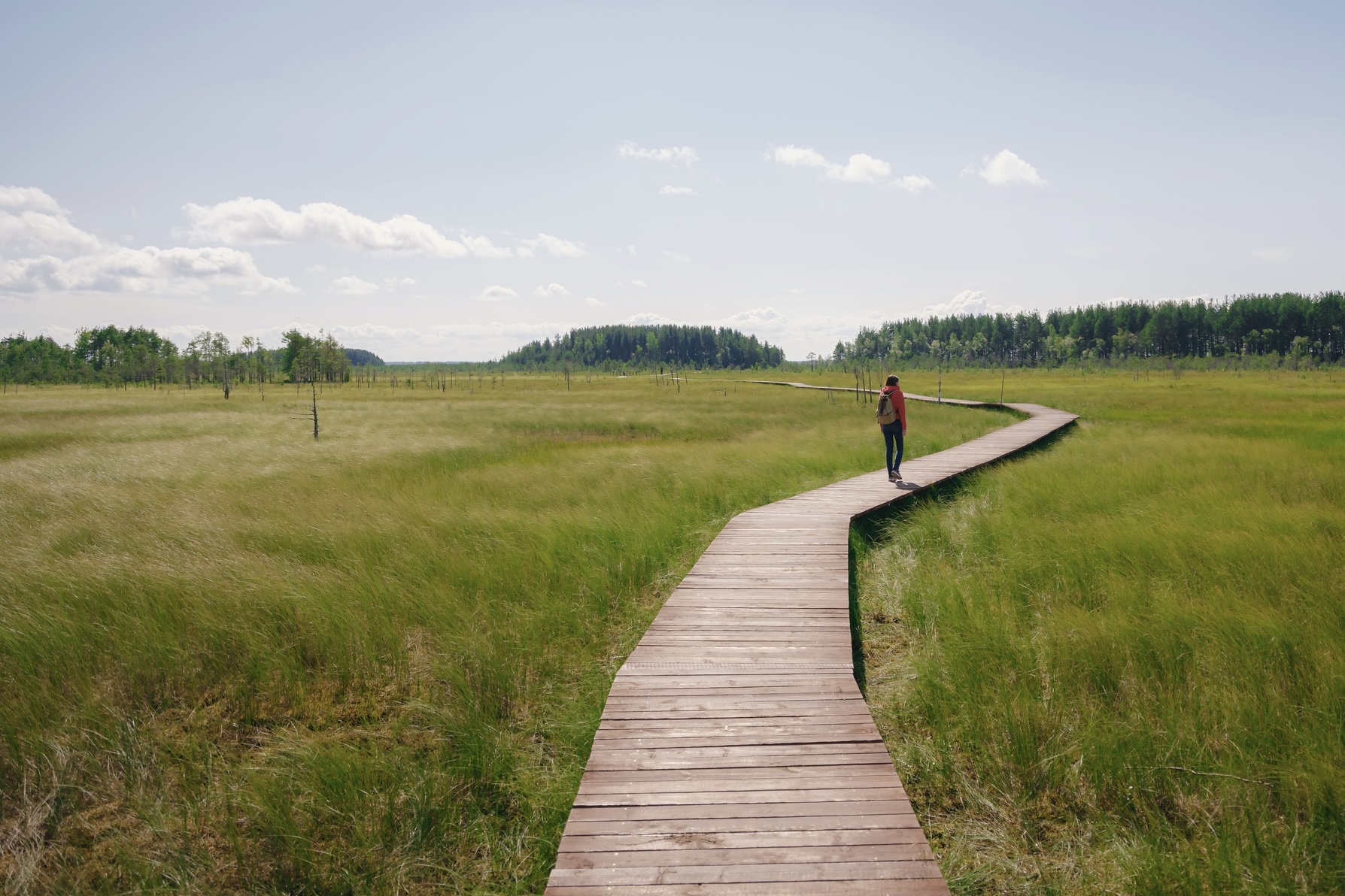 A figure standing on a wooden platform across a green landscape.