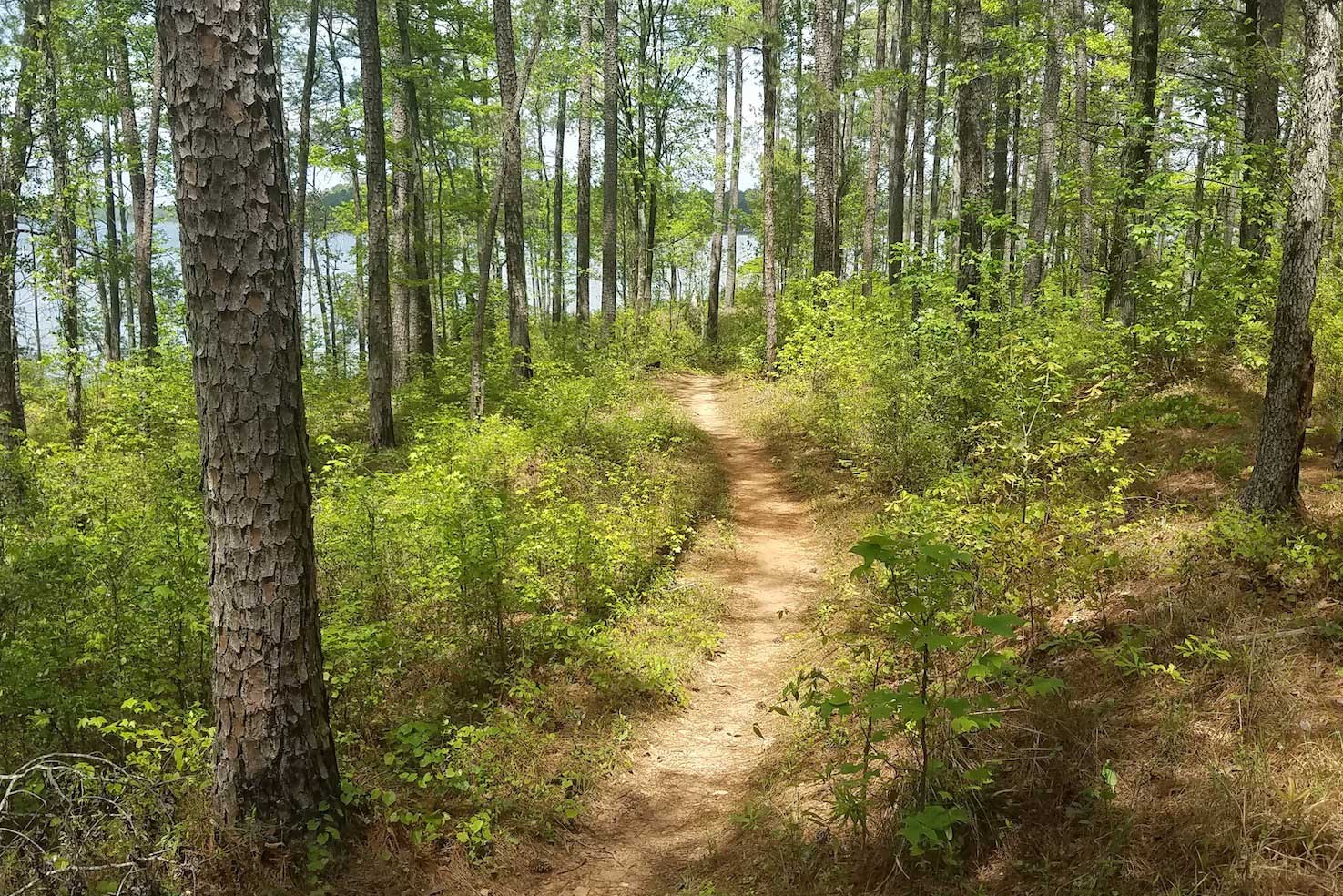 lakeside-trails-lagrange-georgia-west-point