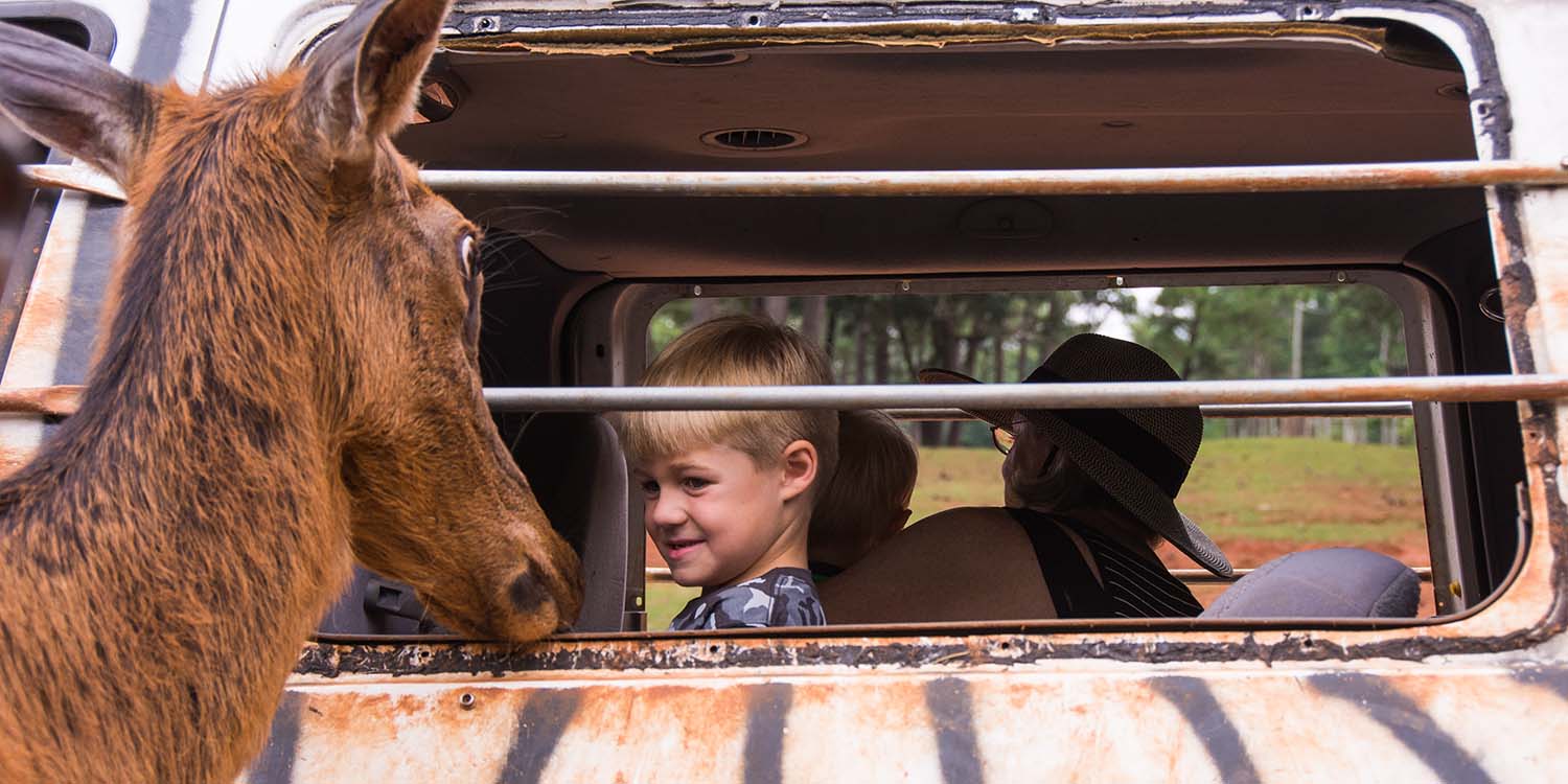 wild-animal-safari-1500x750-visit-lagrange