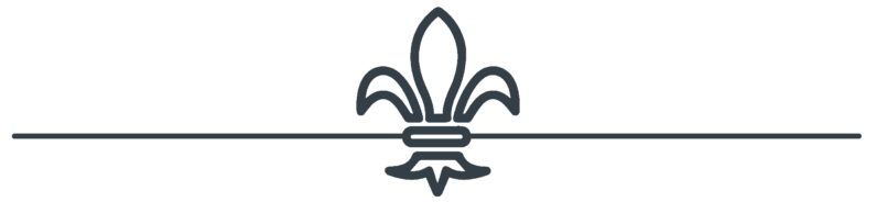 fleur de lis divider